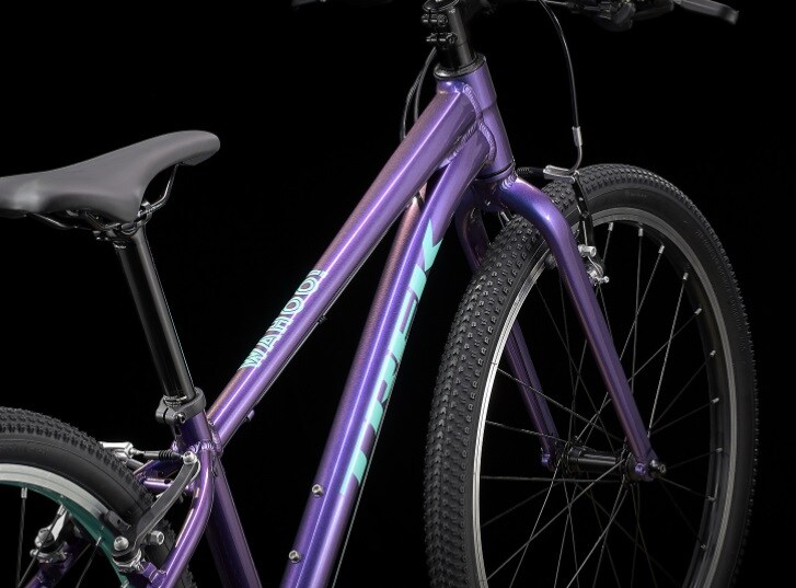 3 wheel motorized bicycle