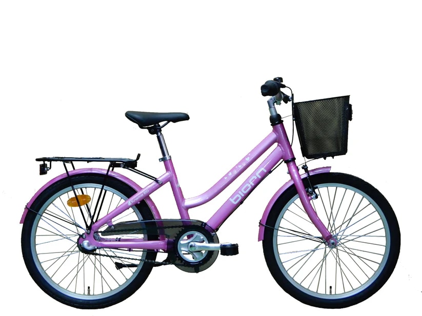 Biorn Krama 20" Rosa