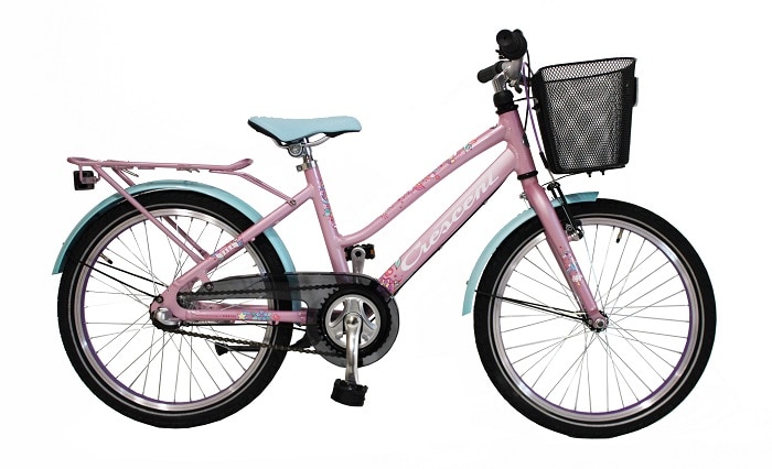 Crescent Saga 20'' Rosa